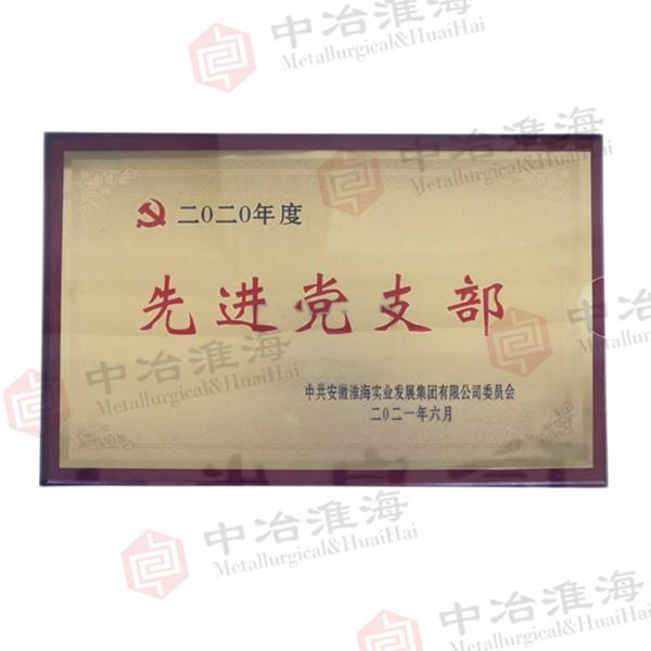 2020年度先进党支部